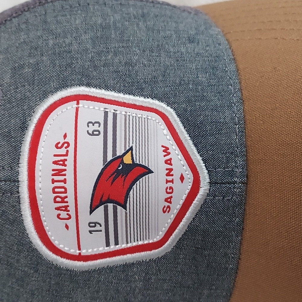 Captivating Saginaw Valley State University Hat - Picture 2 of 12